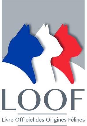 logo loof