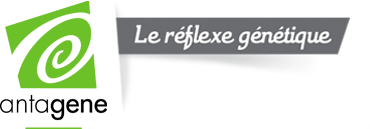 logoantagene